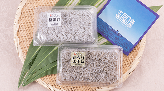 高知産ちりめんじゃこ